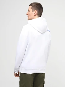 Худи и свитшоты The North Face M Ss24 Coordinates Hoodie модель NF0A87EAFN41 Фото