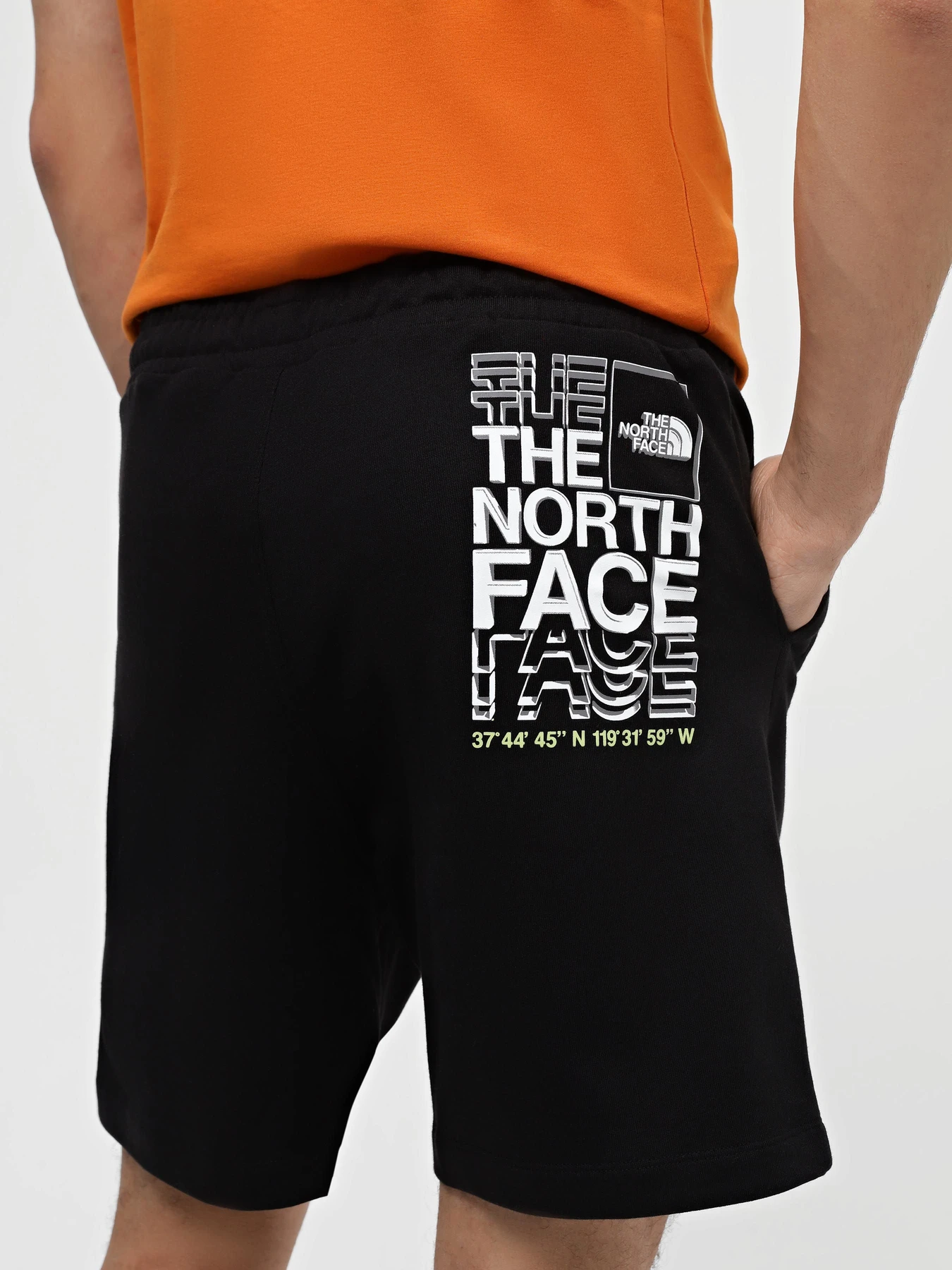 Шорты The North Face Coordinates модель NF0A87ECJK31 Фото