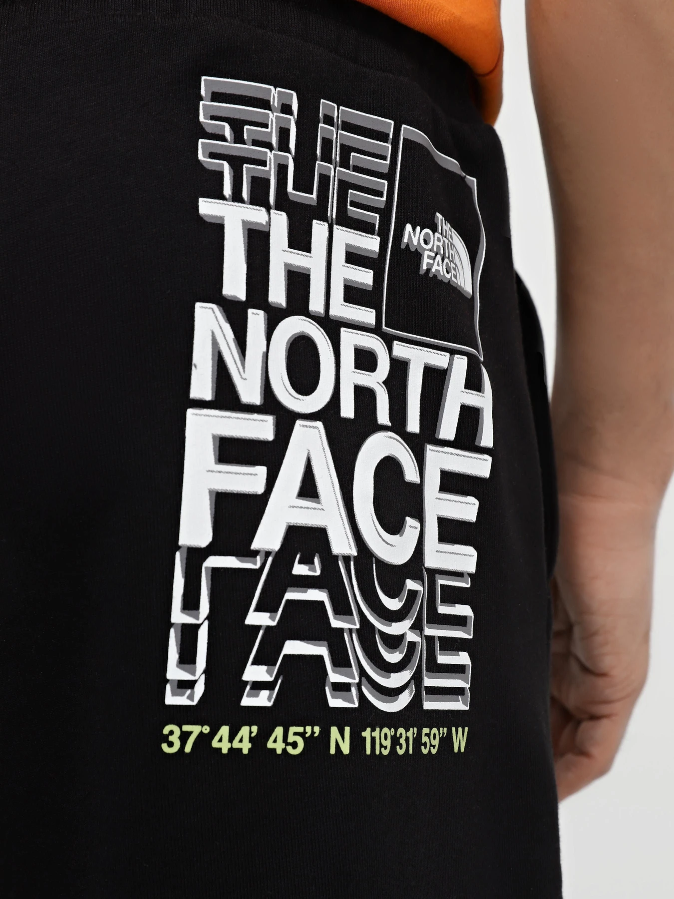 Шорты The North Face Coordinates модель NF0A87ECJK31 Фото