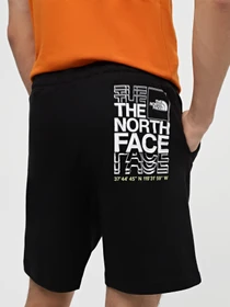 Шорты The North Face Coordinates модель NF0A87ECJK31 Фото