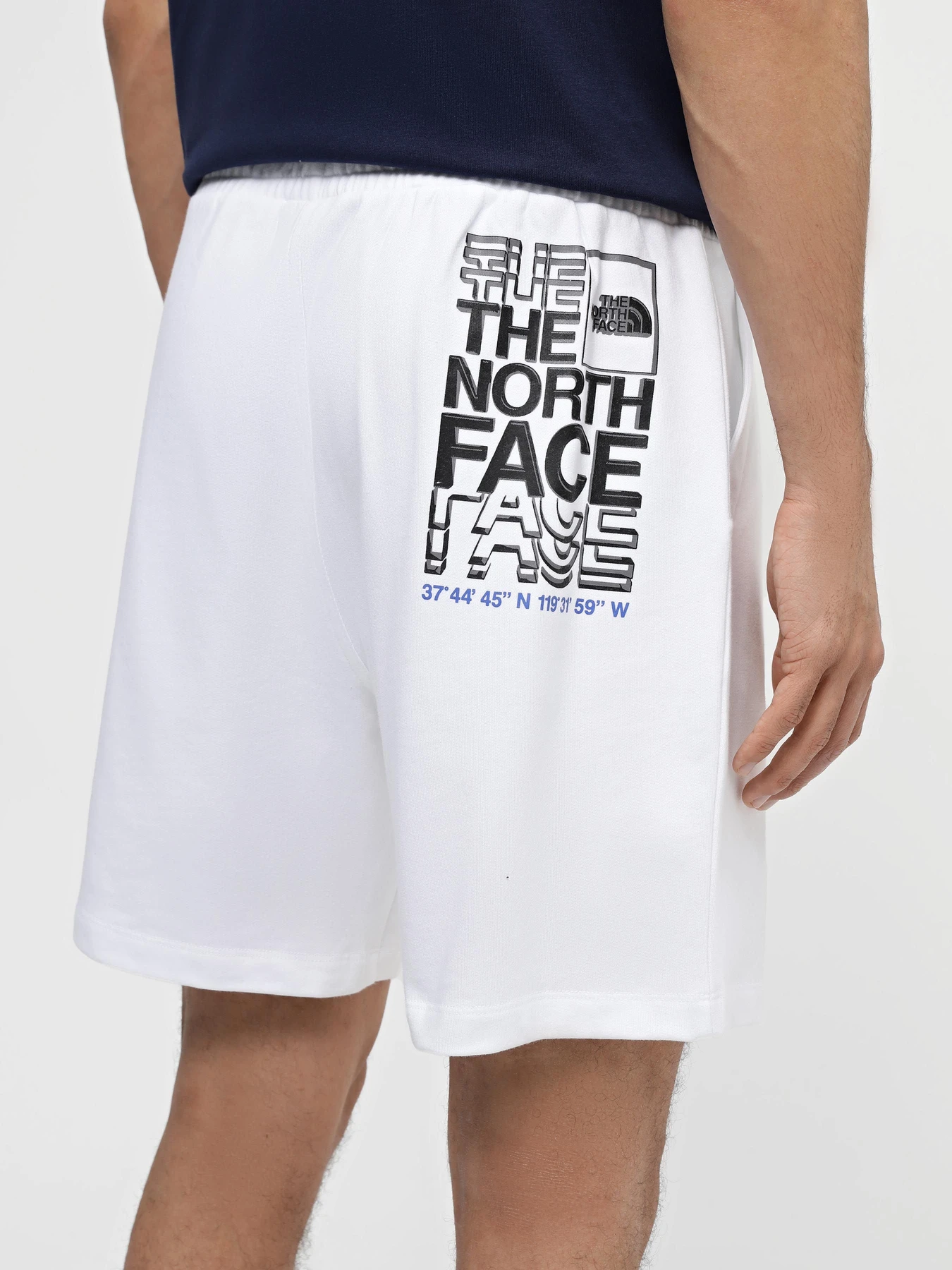 Шорты The North Face Coordinates модель NF0A87ECFN41 Фото