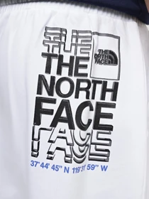 Шорты The North Face Coordinates модель NF0A87ECFN41 Фото