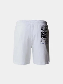 Шорты The North Face Coordinates модель NF0A87ECFN41 Фото