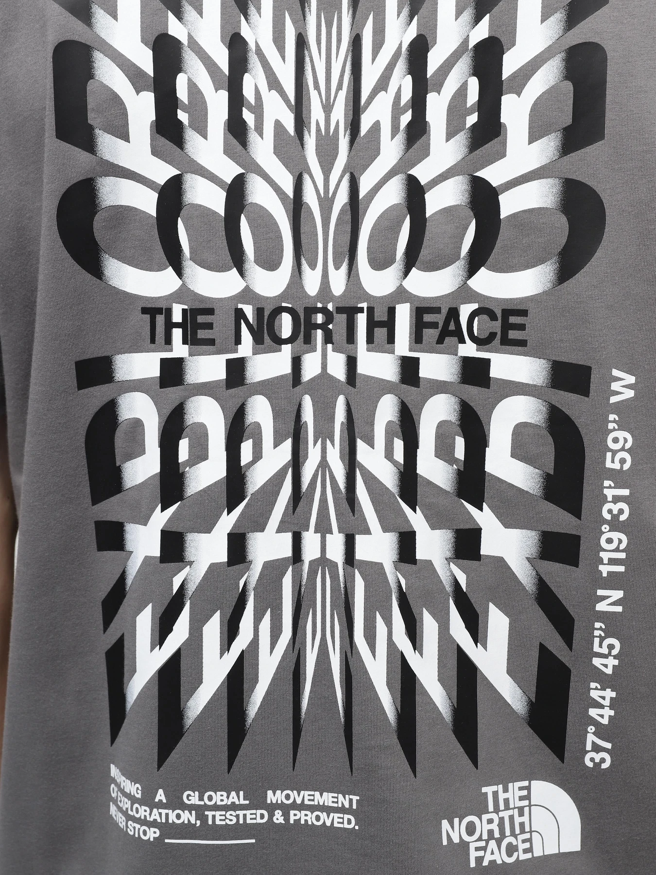 Футболки і поло The North Face M Ss24 Coordinates S/S Tee модель NF0A87ED0UZ1 Футболки і поло The North Face M Ss24 Coordinates S/S Tee модель NF0A87ED0UZ1 Фото