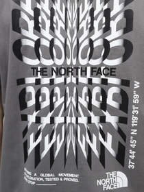 Футболки і поло The North Face M Ss24 Coordinates S/S Tee модель NF0A87ED0UZ1 Фото