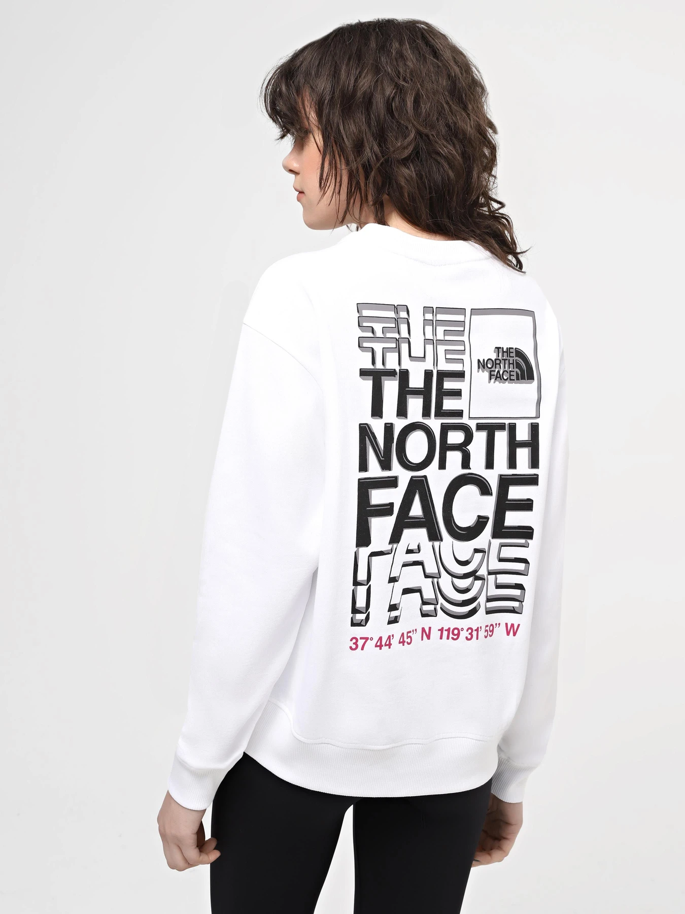 Худи и свитшоты The North Face W Ss24 Coordinates Crew модель NF0A87EFFN41 Худи и свитшоты The North Face W Ss24 Coordinates Crew модель NF0A87EFFN41 Фото