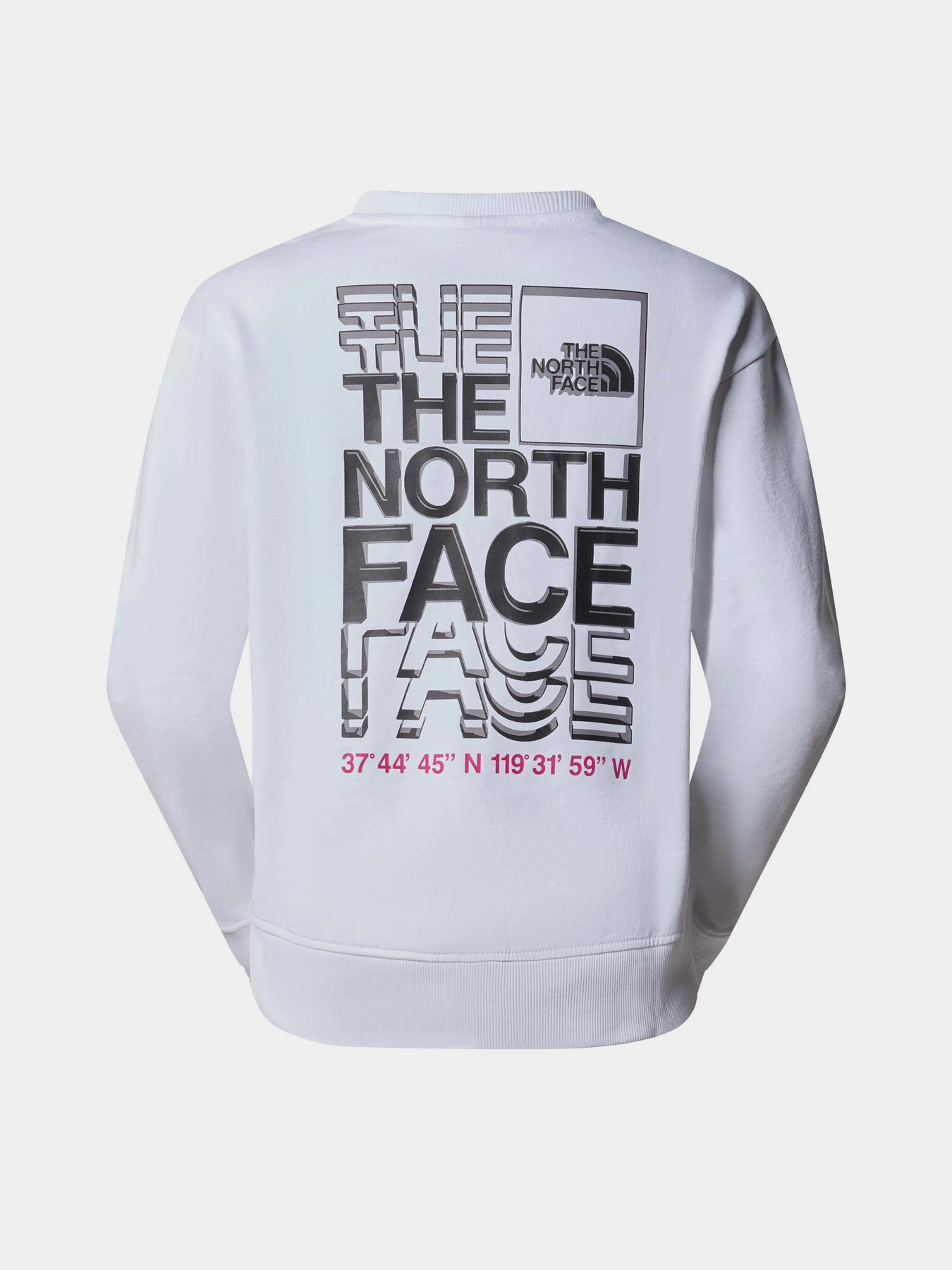 Худи и свитшоты The North Face W Ss24 Coordinates Crew модель NF0A87EFFN41 Худи и свитшоты The North Face W Ss24 Coordinates Crew модель NF0A87EFFN41 Фото