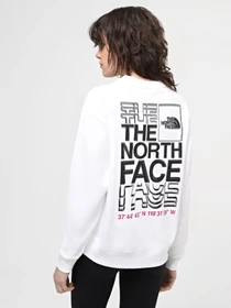 Худи и свитшоты The North Face W Ss24 Coordinates Crew модель NF0A87EFFN41 Фото