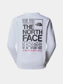 Худи и свитшоты The North Face W Ss24 Coordinates Crew модель NF0A87EFFN41 Фото