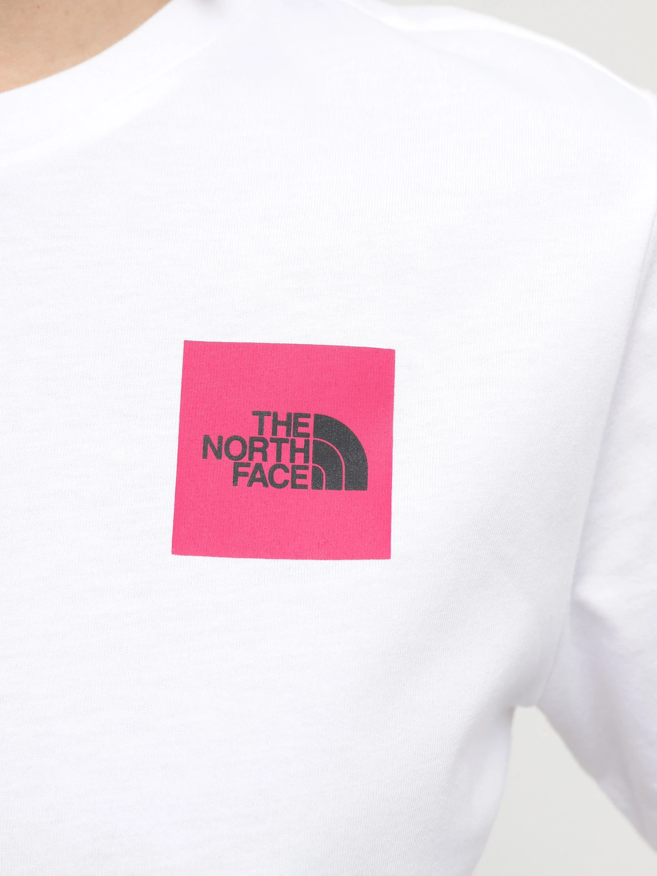 Футболки и поло The North Face W Ss24 Coordinates S/S Tee модель NF0A87EHFN41 Фото