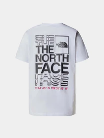 Футболки и поло The North Face W Ss24 Coordinates S/S Tee модель NF0A87EHFN41 Фото