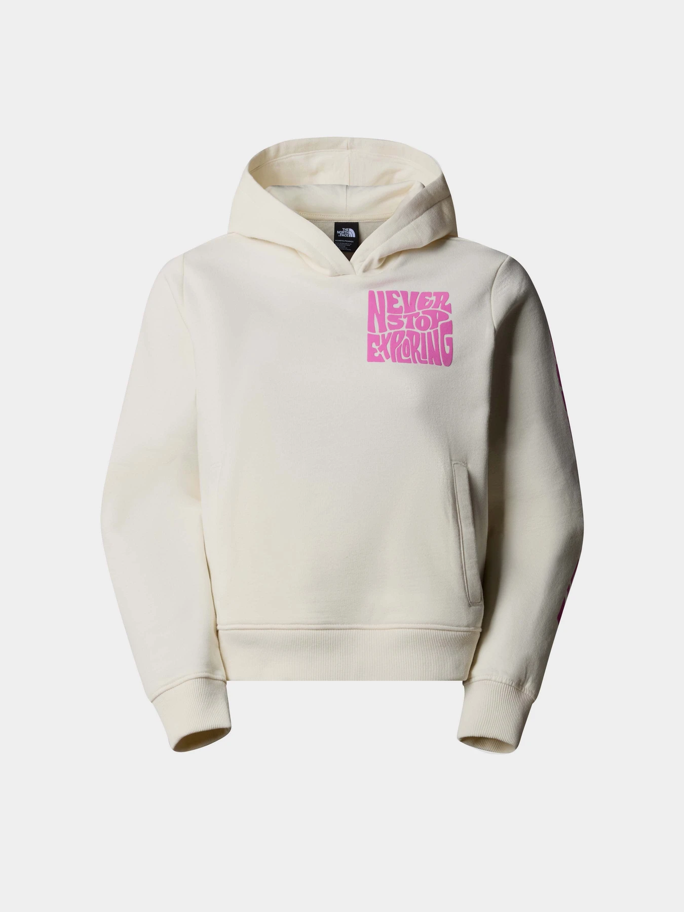 Худи и свитшоты The North Face W Mountain Play Hoodie модель NF0A87EPQLI1 Худи и свитшоты The North Face W Mountain Play Hoodie модель NF0A87EPQLI1 Фото