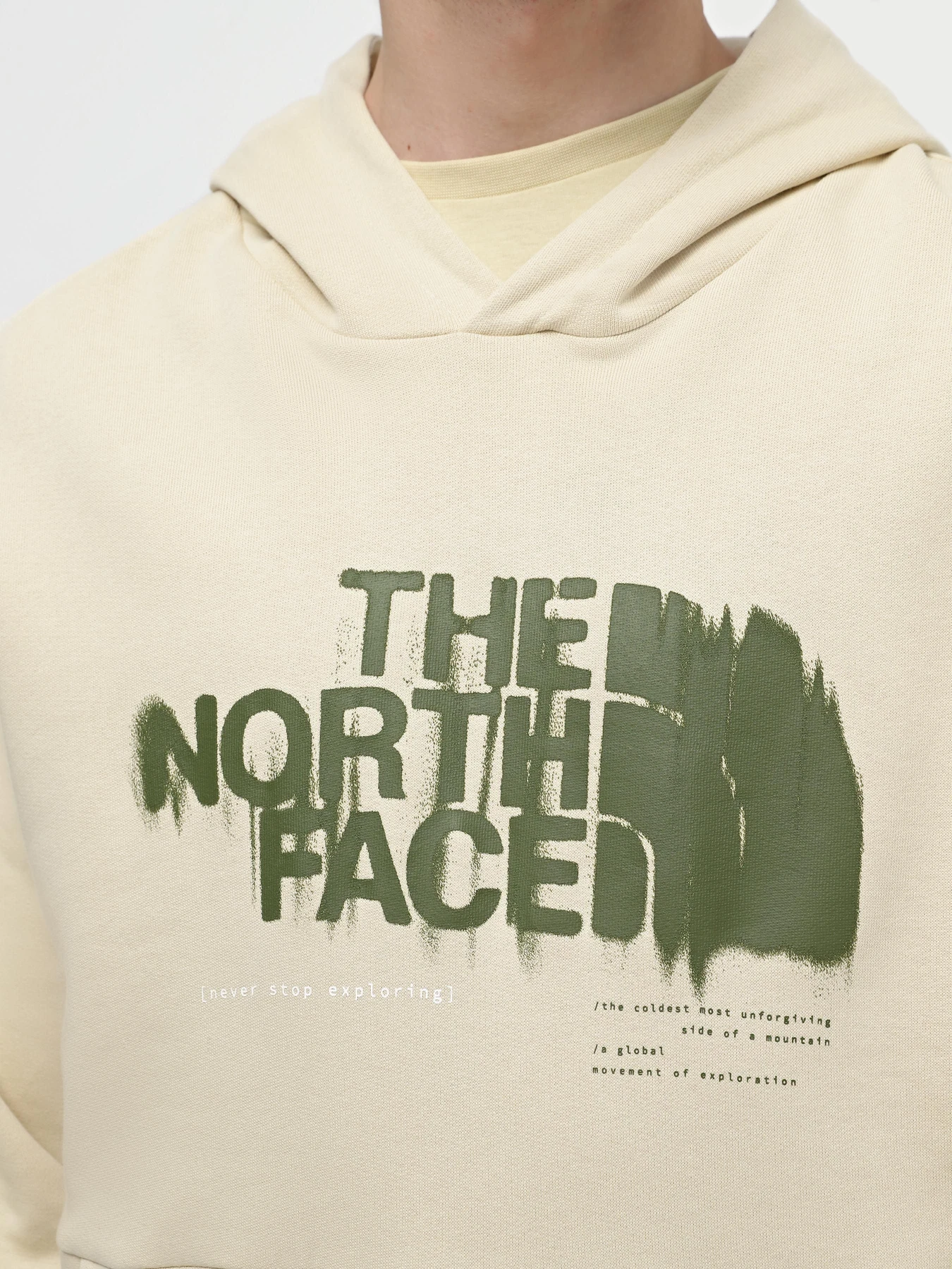 Худи и свитшоты The North Face M Graphic Hoodie 3 модель NF0A87ET3X41 Худи и свитшоты The North Face M Graphic Hoodie 3 модель NF0A87ET3X41 Фото