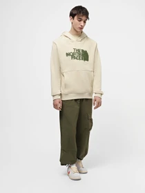 Худи и свитшоты The North Face M Graphic Hoodie 3 модель NF0A87ET3X41 Фото