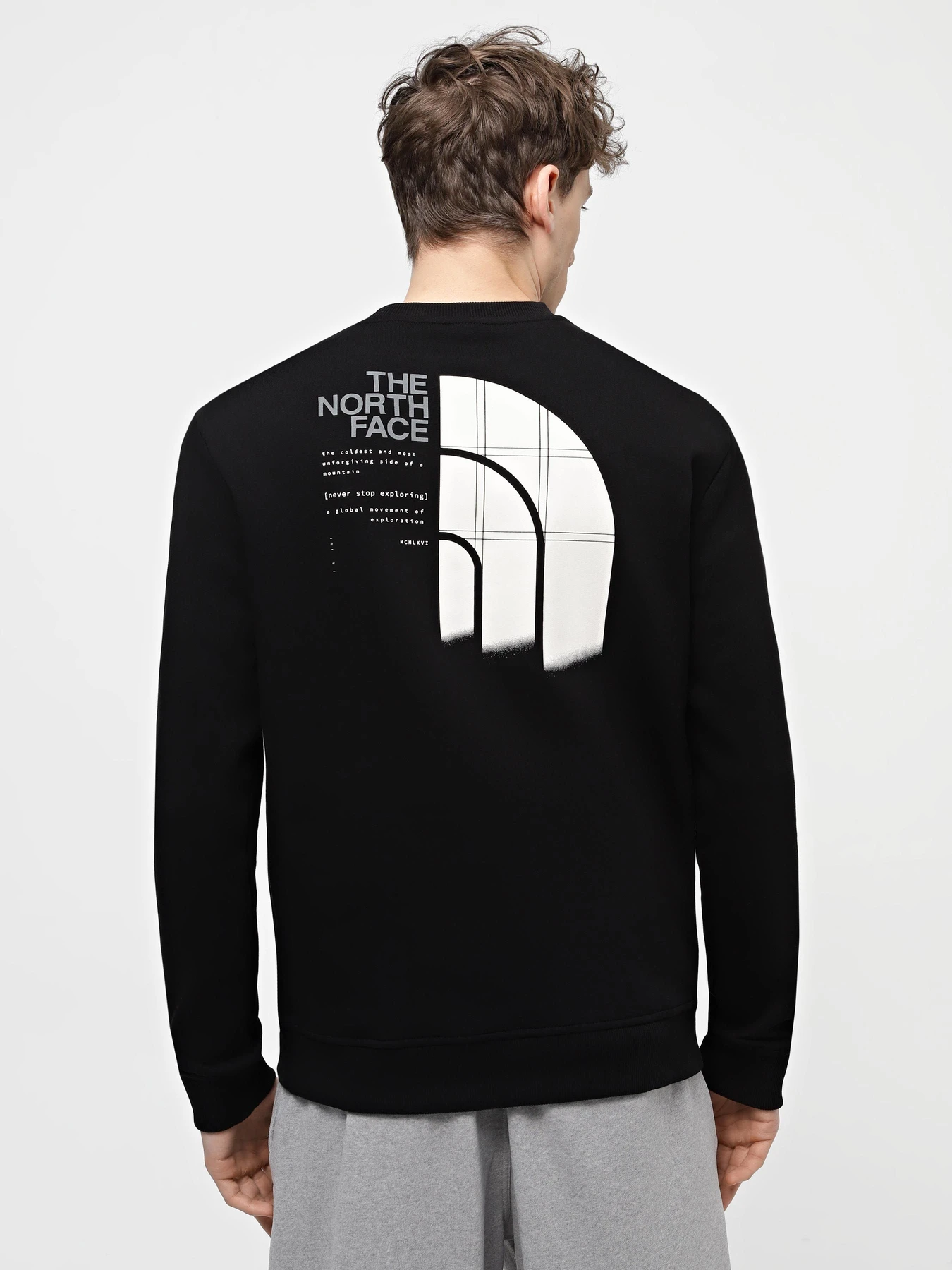 Худи и свитшоты The North Face M Graphic Crew 3 модель NF0A87EUJK31 Худи и свитшоты The North Face M Graphic Crew 3 модель NF0A87EUJK31 Фото