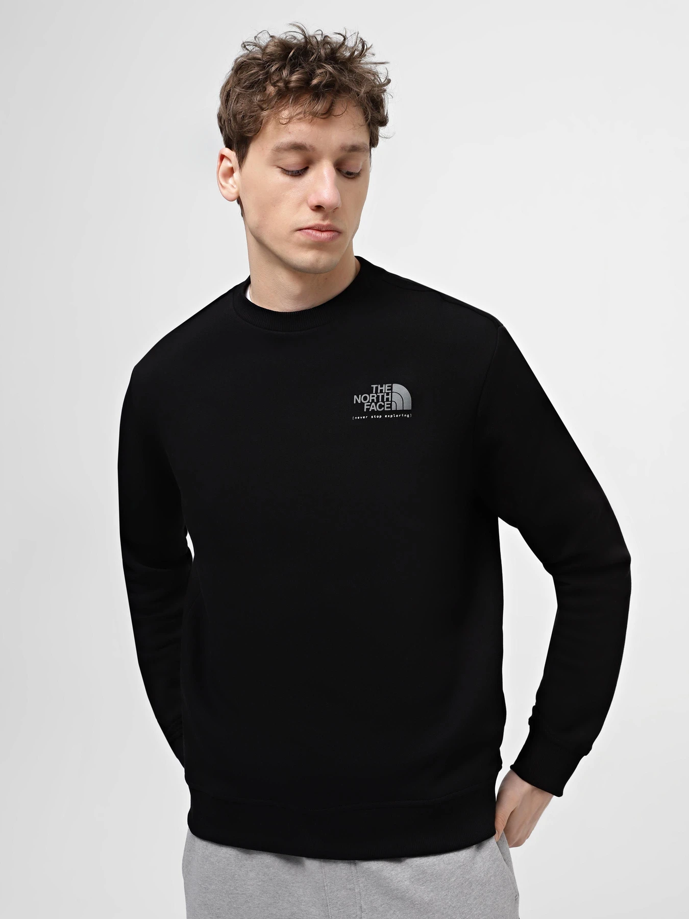 Худи и свитшоты The North Face M Graphic Crew 3 модель NF0A87EUJK31 Худи и свитшоты The North Face M Graphic Crew 3 модель NF0A87EUJK31 Фото