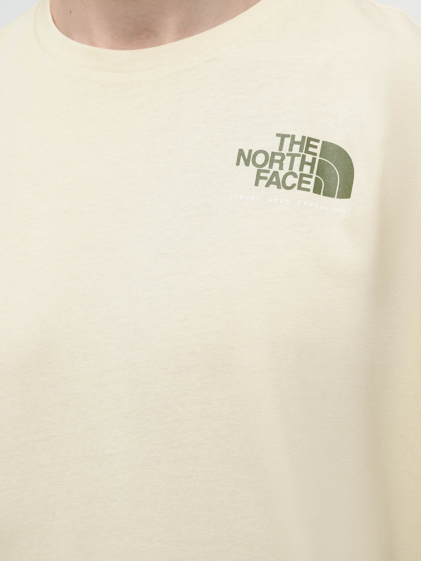 Футболки и поло The North Face Graphic модель NF0A87EW3X41 Футболки и поло The North Face Graphic модель NF0A87EW3X41 Фото