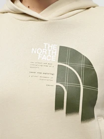 Худи и свитшоты The North Face W Graphic Hoodie 3 модель NF0A87EX3X41 Фото