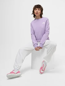 Худи и свитшоты The North Face W Graphic Crew 3 модель NF0A87EYQZI1 Фото