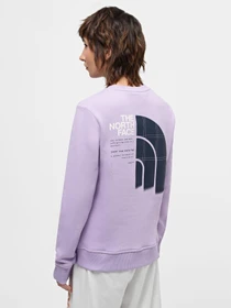 Худи и свитшоты The North Face W Graphic Crew 3 модель NF0A87EYQZI1 Фото