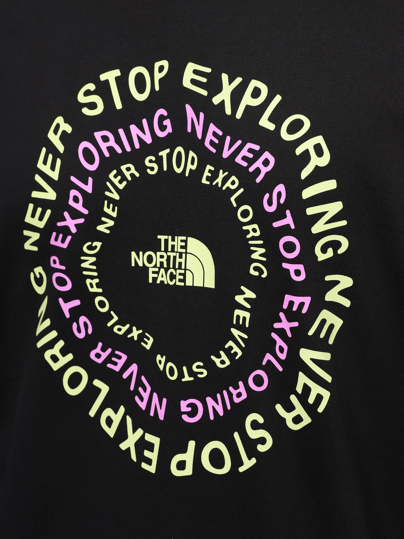 Худи и свитшоты The North Face U Nse Graphic Hoodie модель NF0A87F3JK31 Худи и свитшоты The North Face U Nse Graphic Hoodie модель NF0A87F3JK31 Фото