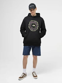 Худи и свитшоты The North Face U Nse Graphic Hoodie модель NF0A87F3JK31 Фото