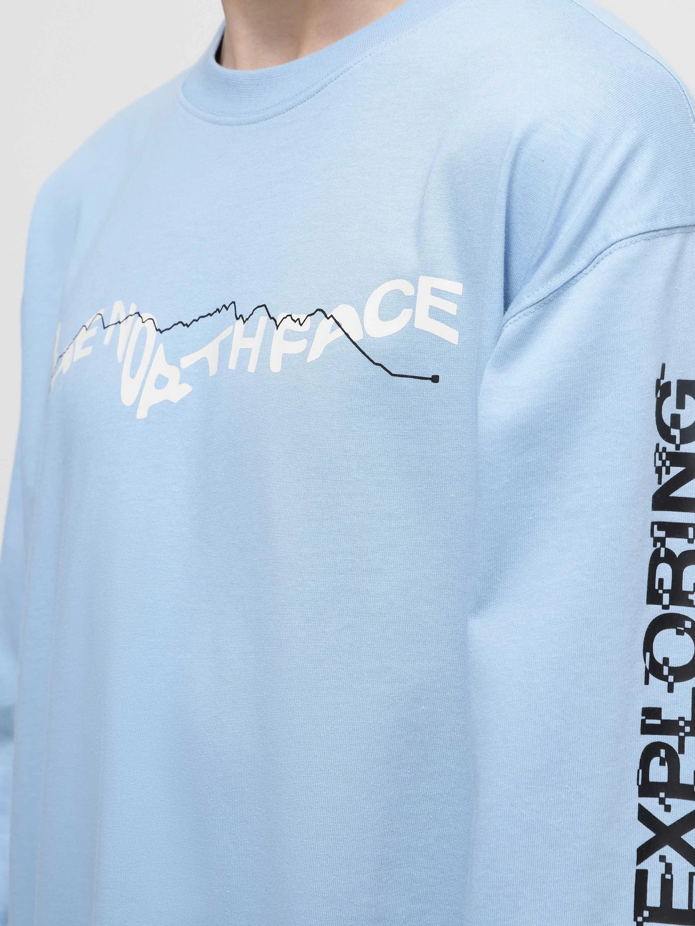 Худи и свитшоты The North Face U Nse Graphic L/S Tee модель NF0A87F5QEO1 Худи и свитшоты The North Face U Nse Graphic L/S Tee модель NF0A87F5QEO1 Фото