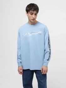 Худі та світшоти The North Face U Nse Graphic L/S Tee модель NF0A87F5QEO1 Фото