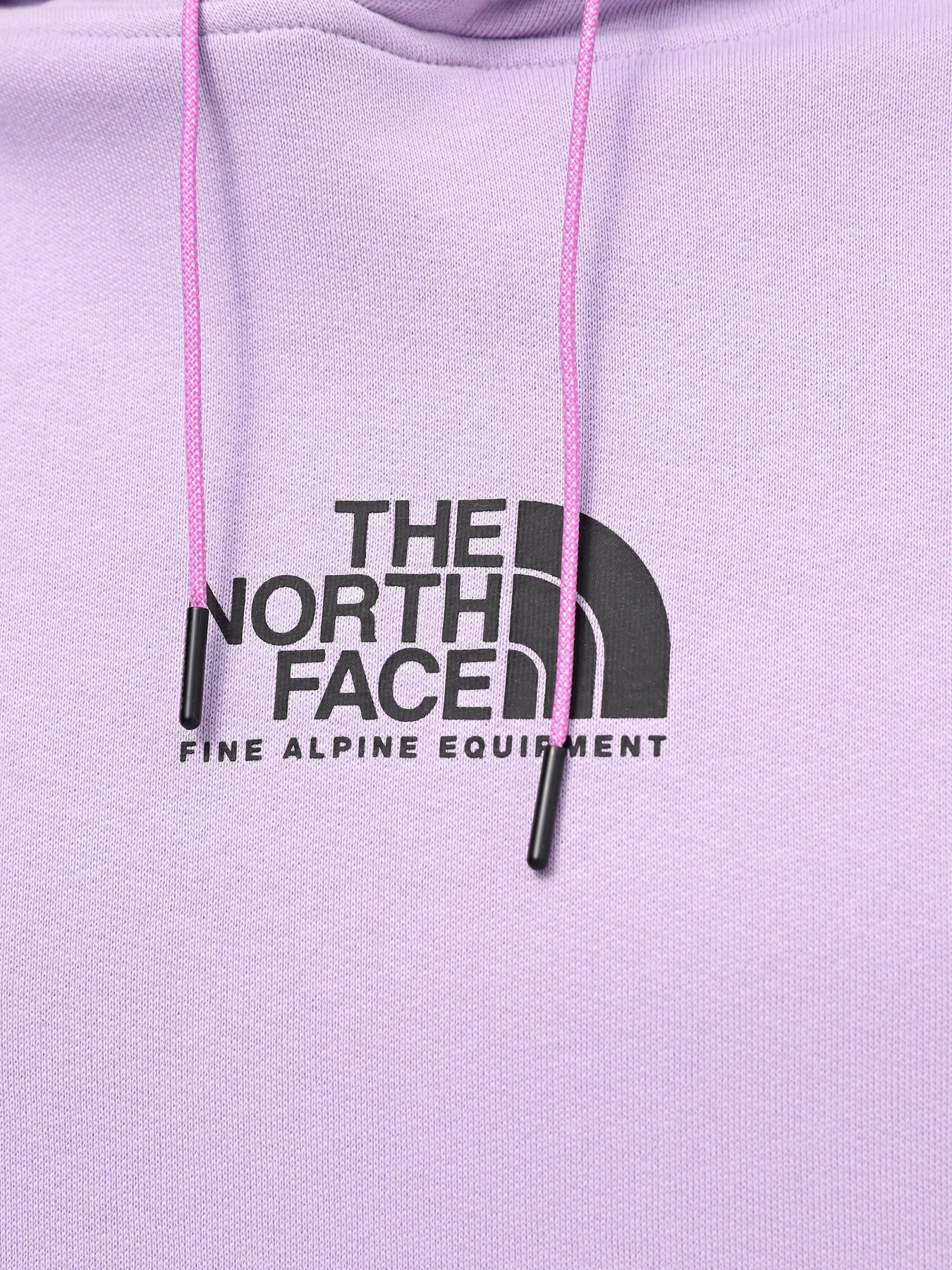 Худи и свитшоты The North Face M Fine Alpine Hoodie модель NF0A87F7QZI1 Худи и свитшоты The North Face M Fine Alpine Hoodie модель NF0A87F7QZI1 Фото