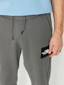 Брюки The North Face Fine Alpine модель NF0A87F80UZ1 Фото