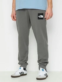 Брюки The North Face Fine Alpine модель NF0A87F80UZ1 Фото