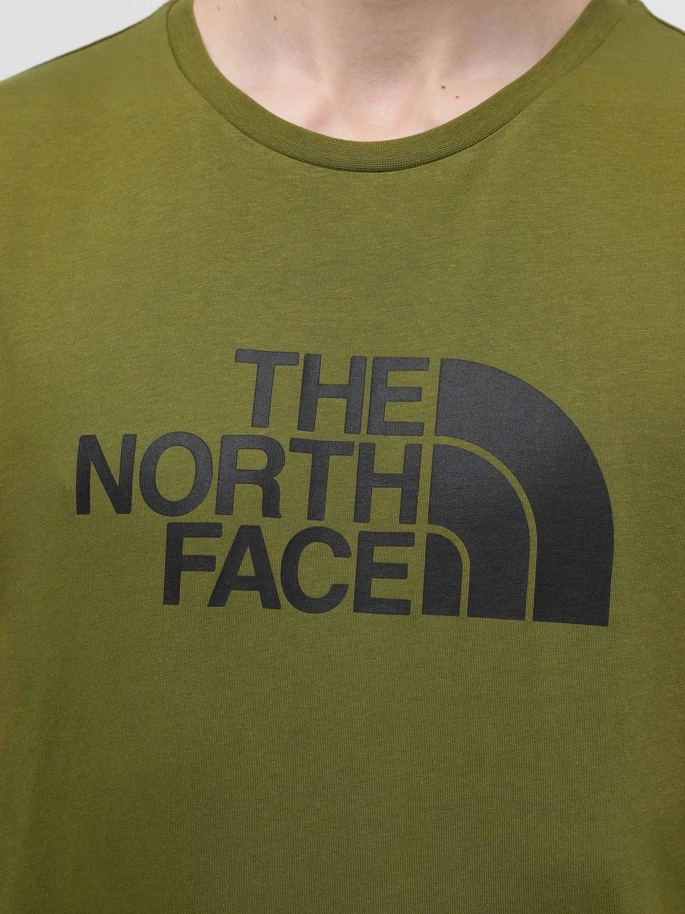 Футболки и поло The North Face Easy модель NF0A87N5PIB1 Футболки и поло The North Face Easy модель NF0A87N5PIB1 Фото