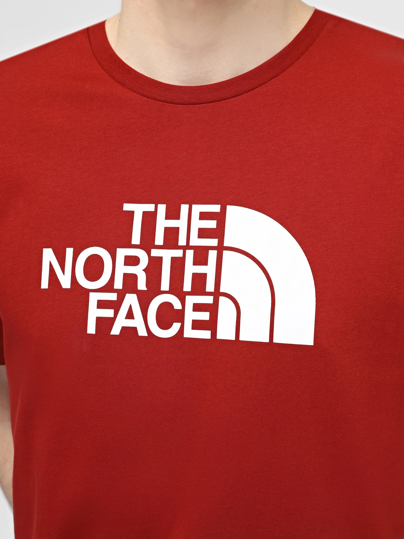 Футболки і поло The North Face M S/S Easy Tee модель NF0A87N5POJ1 Футболки і поло The North Face M S/S Easy Tee модель NF0A87N5POJ1 Фото
