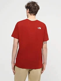 Футболки і поло The North Face M S/S Easy Tee модель NF0A87N5POJ1 Фото