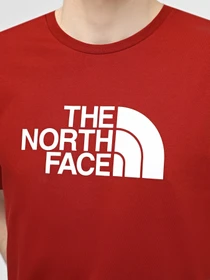 Футболки і поло The North Face M S/S Easy Tee модель NF0A87N5POJ1 Фото