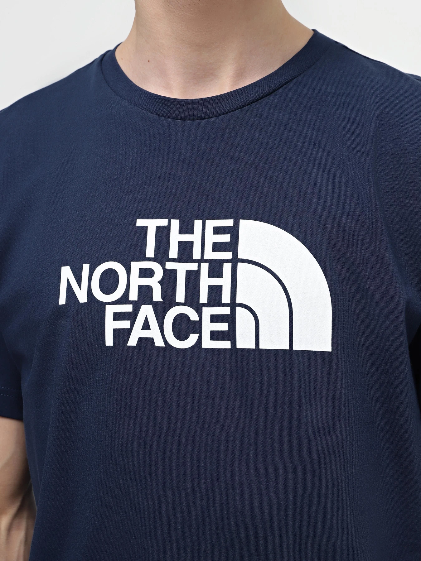 Футболки і поло The North Face Easy модель NF0A87N58K21 Фото
