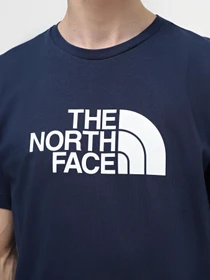 Футболки і поло The North Face Easy модель NF0A87N58K21 Фото