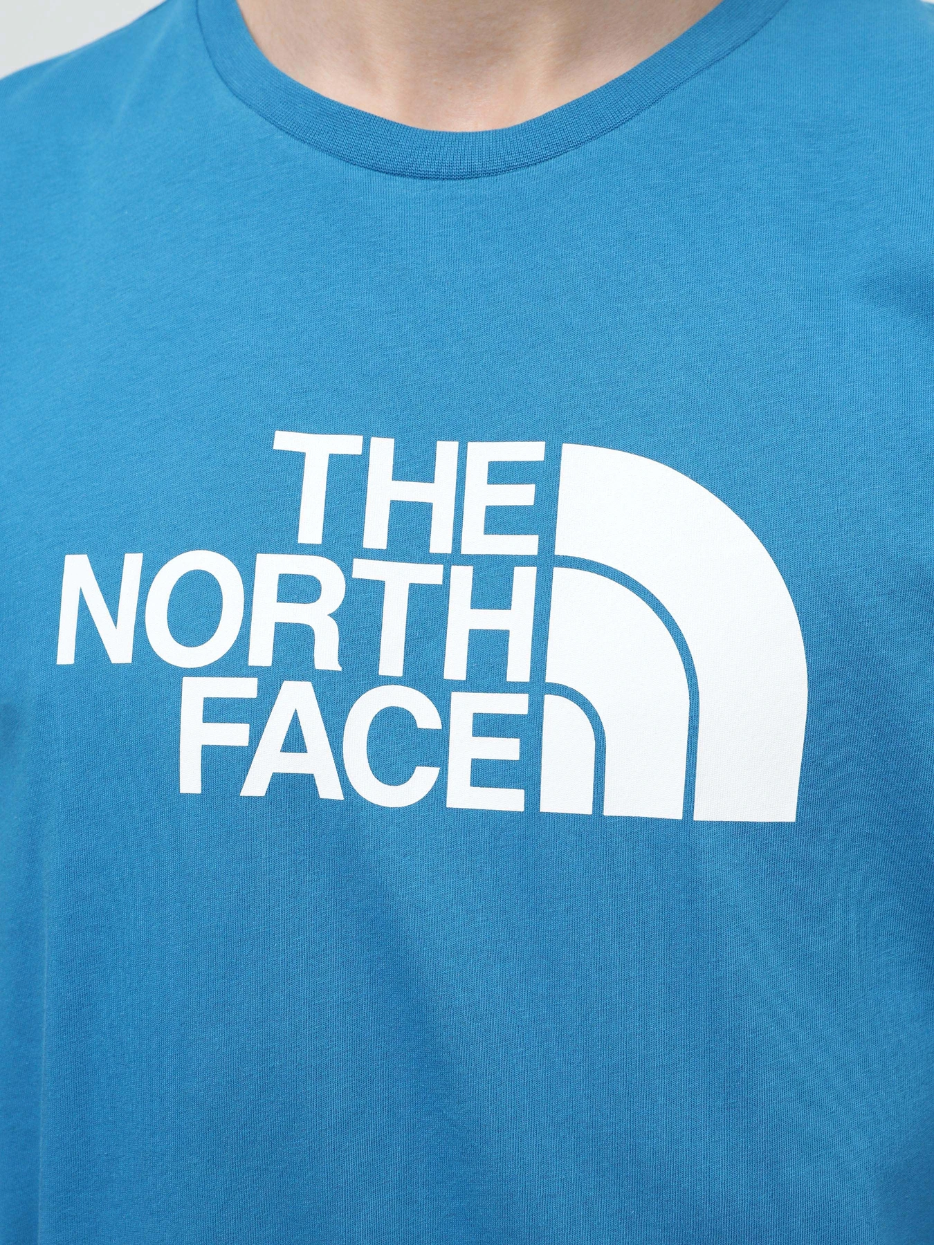 Футболки и поло The North Face Easy модель NF0A87N5RBI1 Футболки и поло The North Face Easy модель NF0A87N5RBI1 Фото