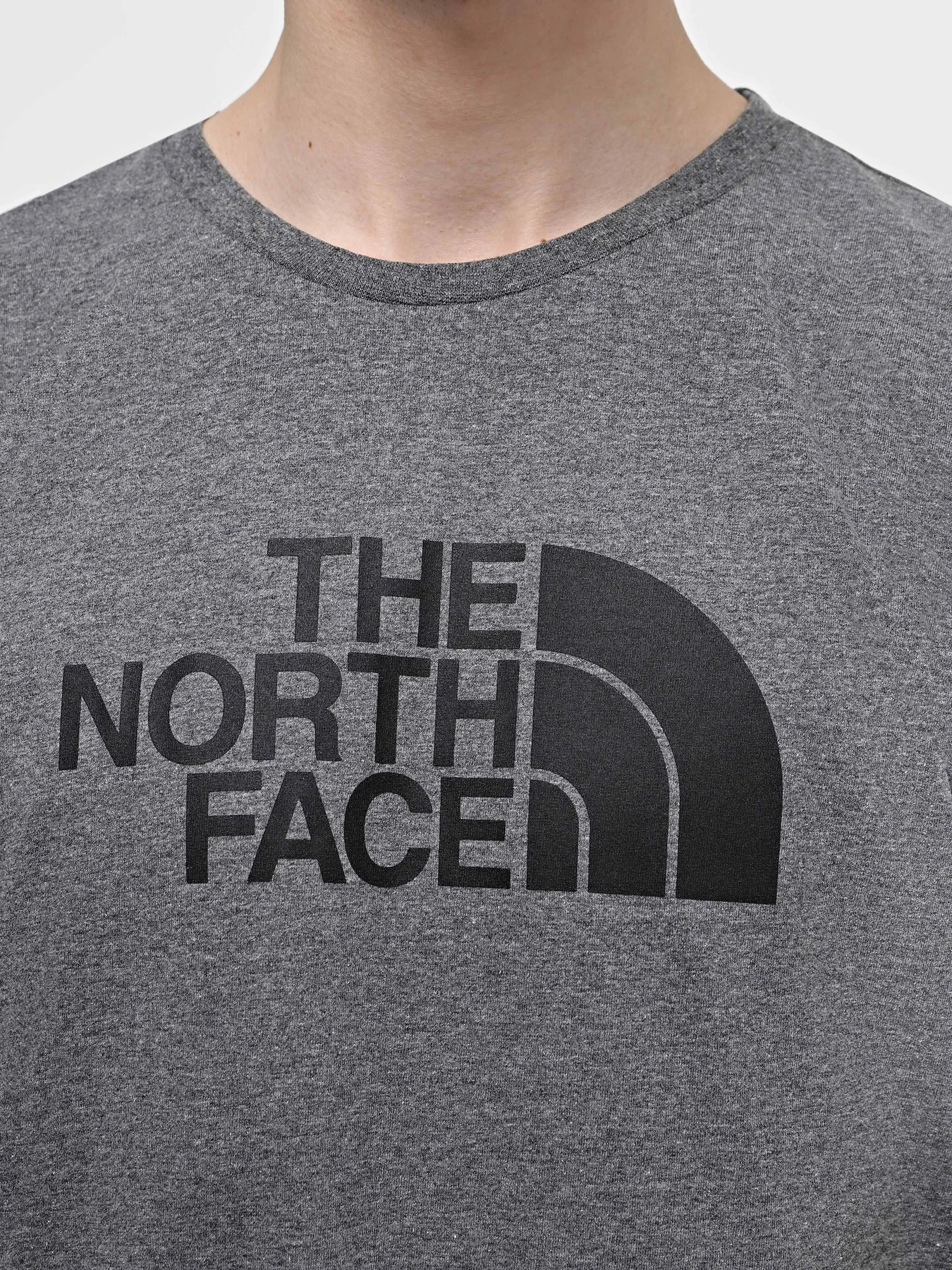 Футболки и поло The North Face Easy модель NF0A87N5DYY1 Футболки и поло The North Face Easy модель NF0A87N5DYY1 Фото