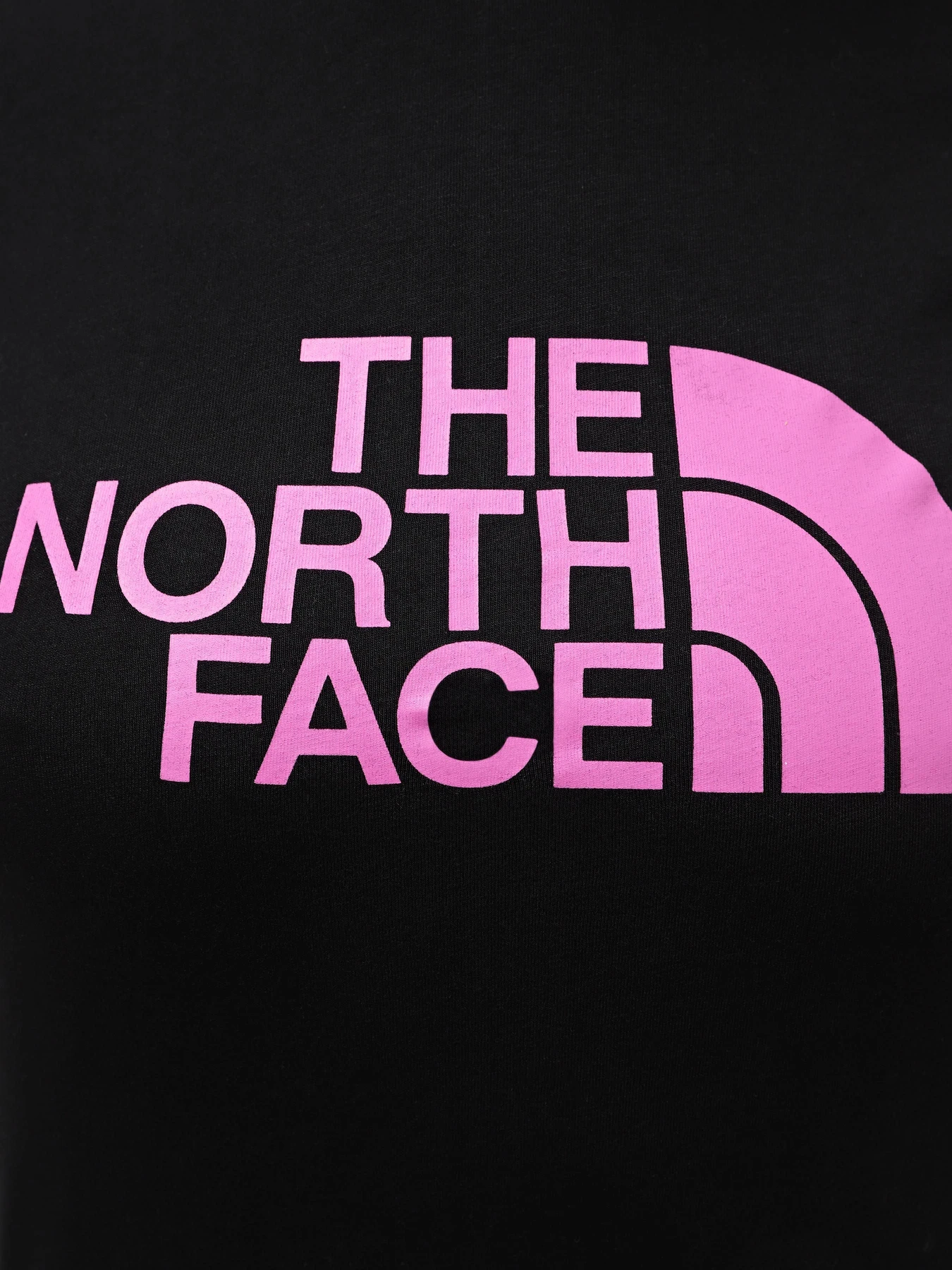 Футболки и поло The North Face W S/S Easy Tee модель NF0A87N6YES1 Футболки и поло The North Face W S/S Easy Tee модель NF0A87N6YES1 Фото