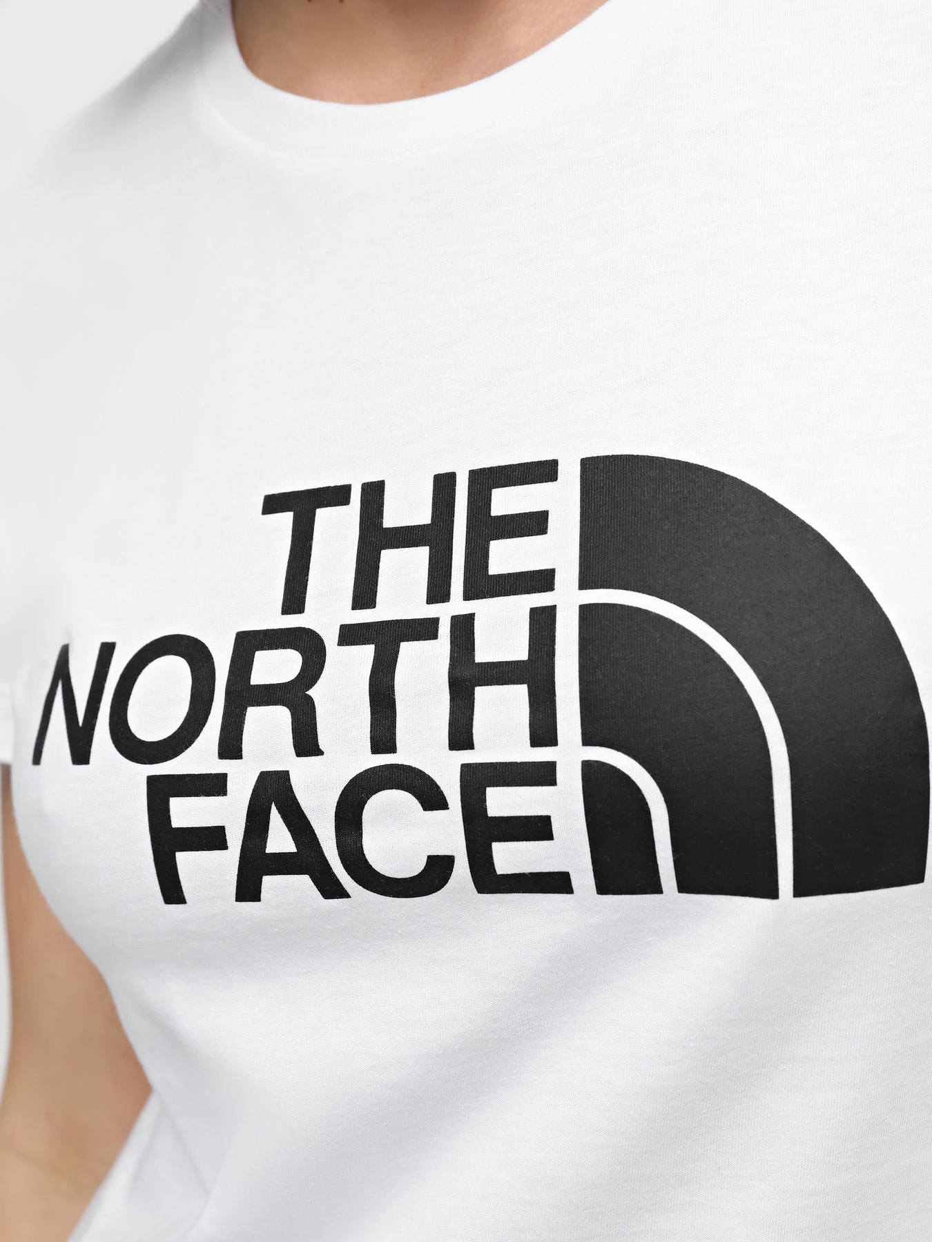 Футболки и поло The North Face Easy модель NF0A87N6FN41 Футболки и поло The North Face Easy модель NF0A87N6FN41 Фото