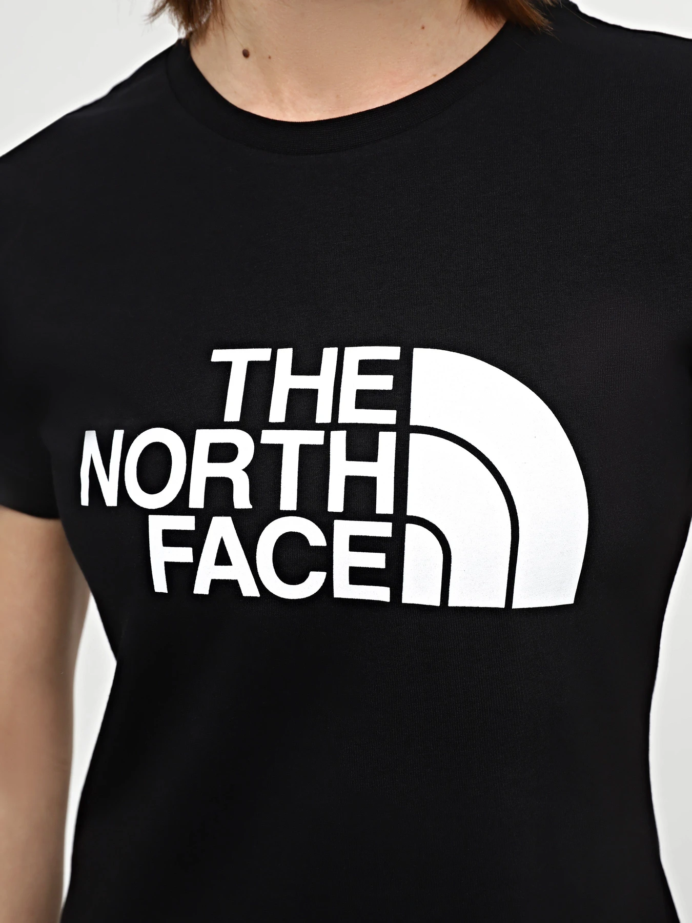Футболки и поло The North Face Easy модель NF0A87N6JK31 Футболки и поло The North Face Easy модель NF0A87N6JK31 Фото