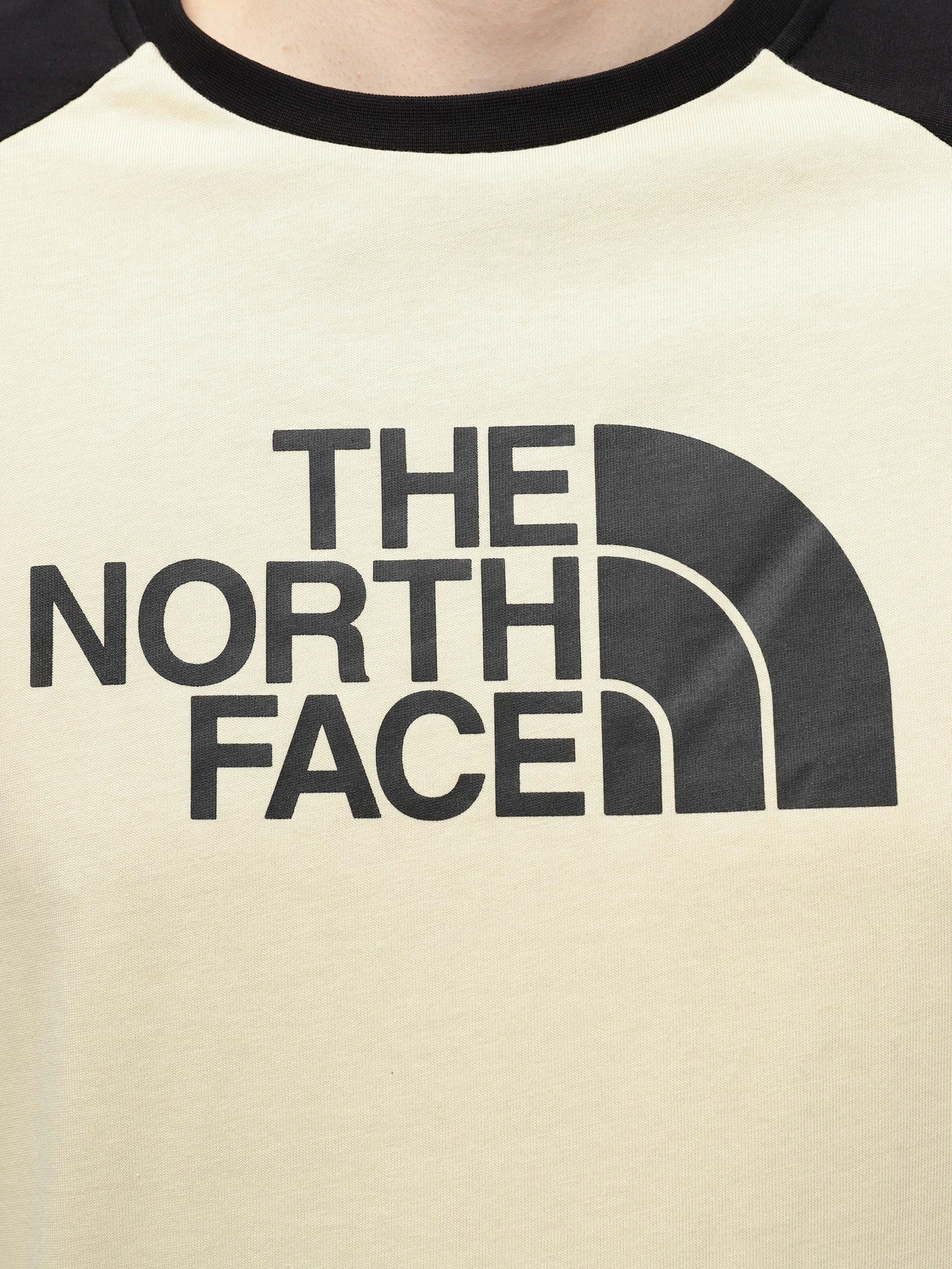 Футболки и поло The North Face Easy модель NF0A87N73X41 Футболки и поло The North Face Easy модель NF0A87N73X41 Фото