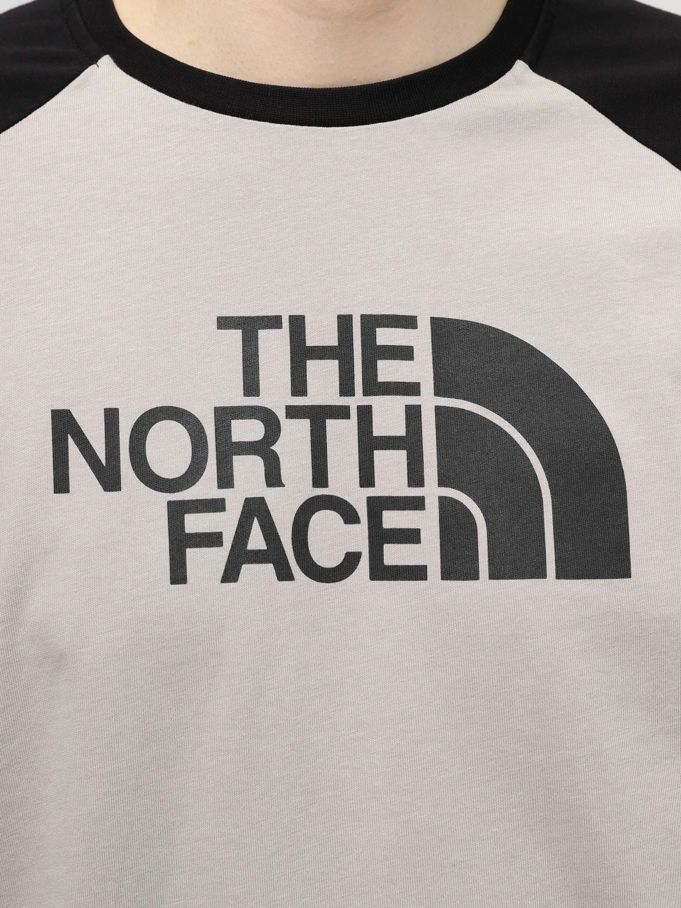 Футболки и поло The North Face Easy модель NF0A87N7PI61 Футболки и поло The North Face Easy модель NF0A87N7PI61 Фото