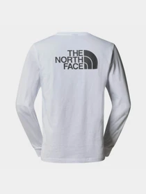Худи и свитшоты The North Face Easy модель NF0A87N8FN41 Фото