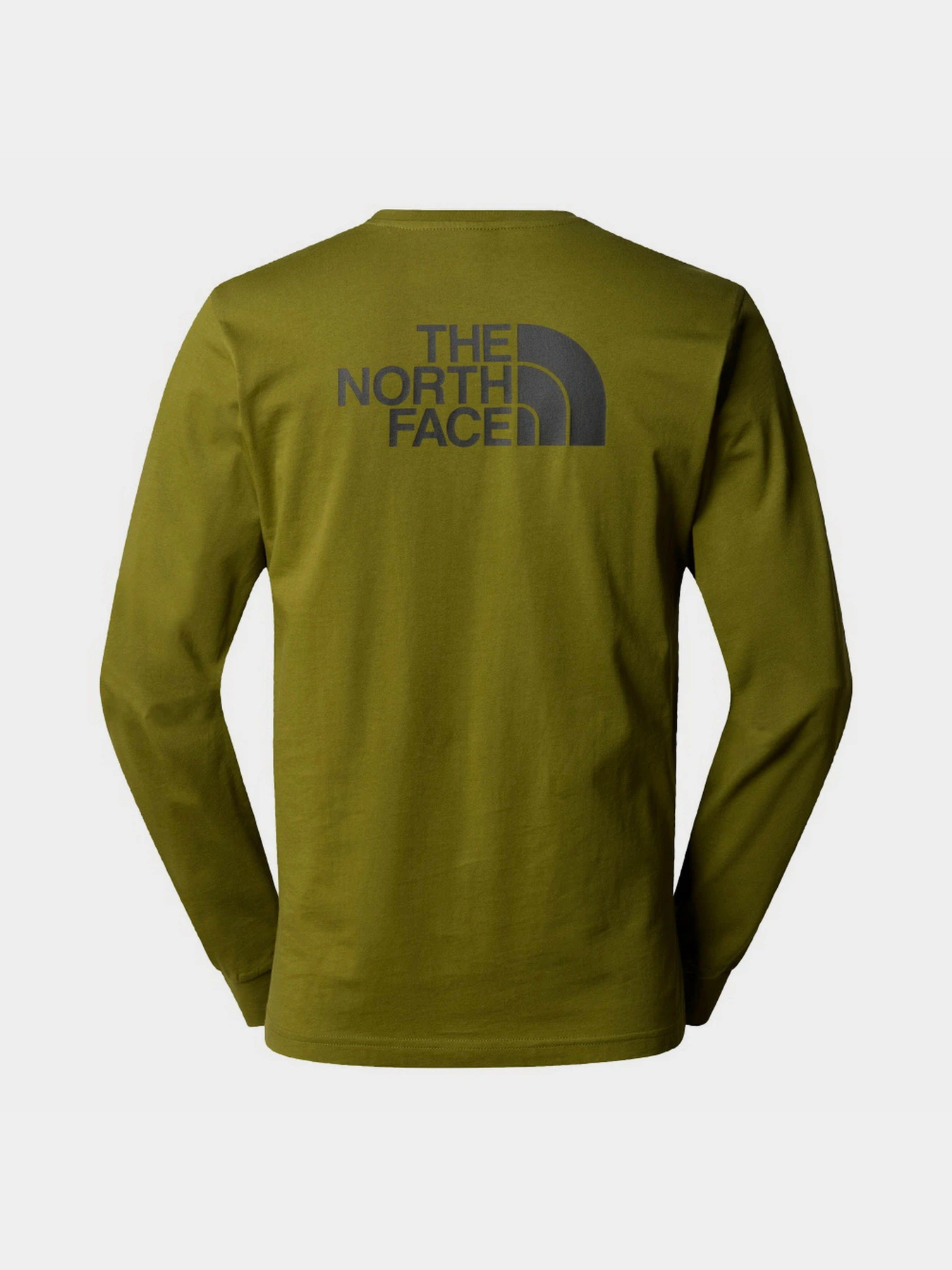 Худи и свитшоты The North Face Easy модель NF0A87N8PIB1 Фото