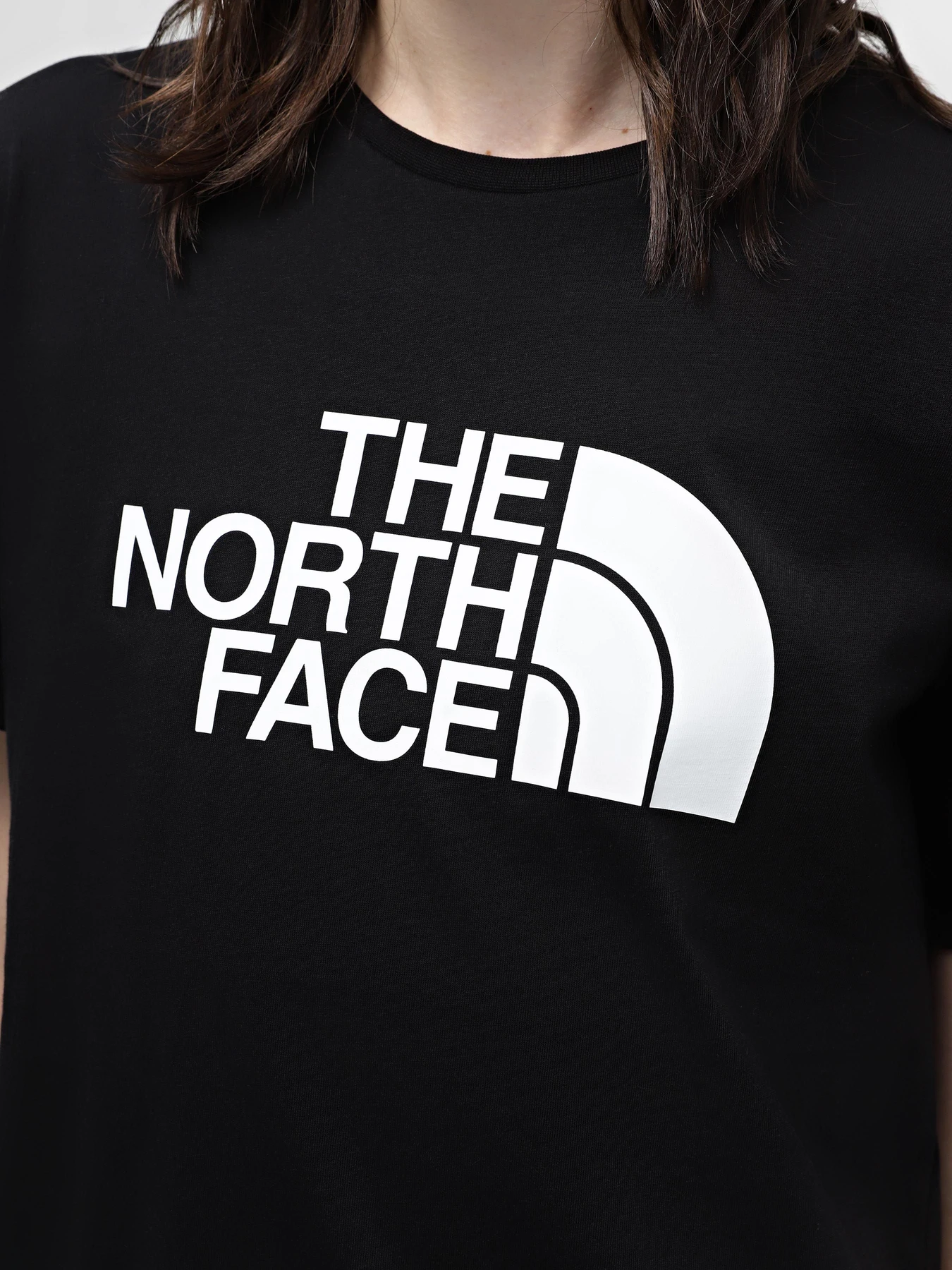 Футболки и поло The North Face W S/S Relaxed Easy Tee модель NF0A87N9JK31 Футболки и поло The North Face W S/S Relaxed Easy Tee модель NF0A87N9JK31 Фото