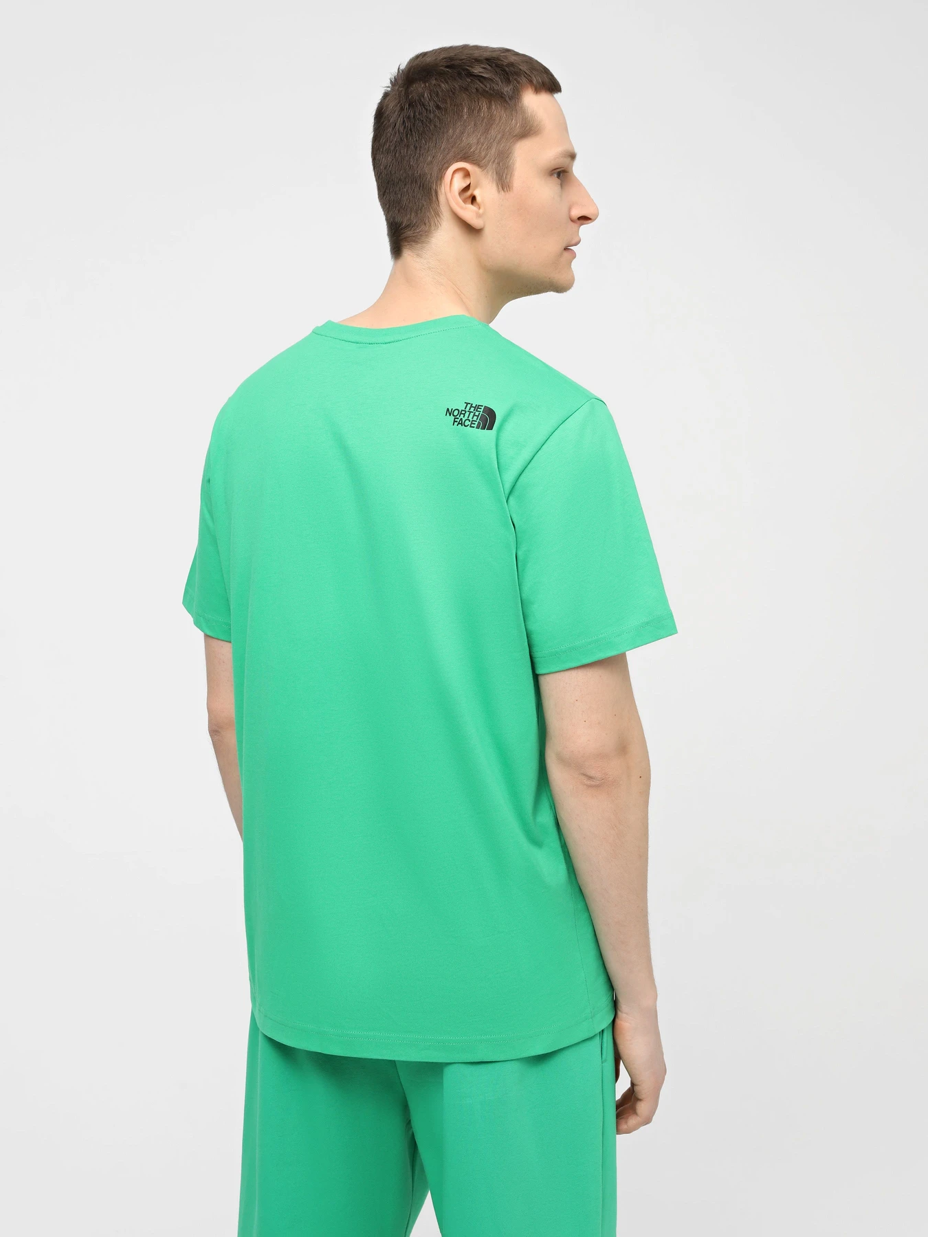 Футболки і поло The North Face M S/S Fine Tee модель NF0A87NDPO81 Футболки і поло The North Face M S/S Fine Tee модель NF0A87NDPO81 Фото