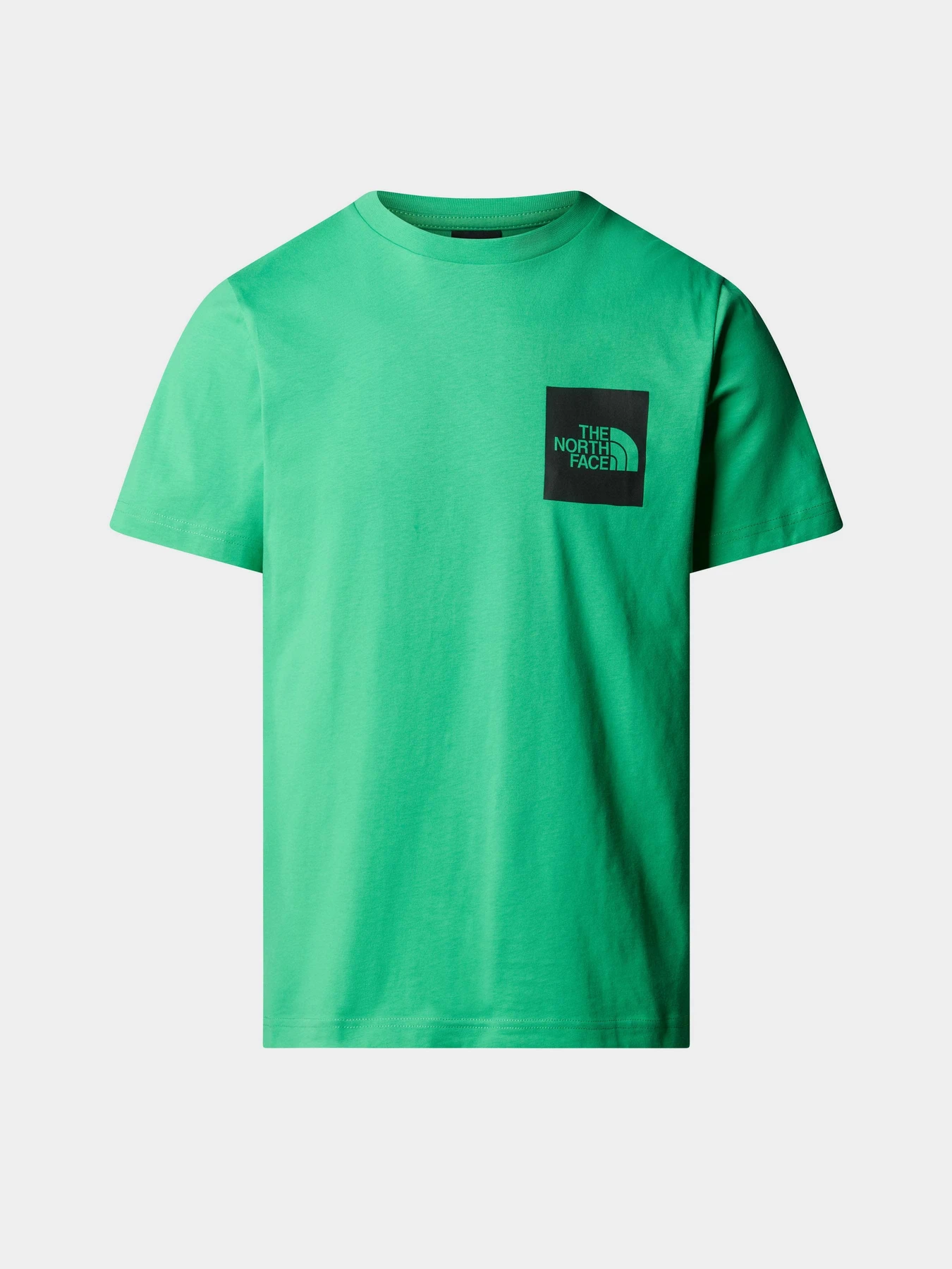 Футболки і поло The North Face M S/S Fine Tee модель NF0A87NDPO81 Футболки і поло The North Face M S/S Fine Tee модель NF0A87NDPO81 Фото