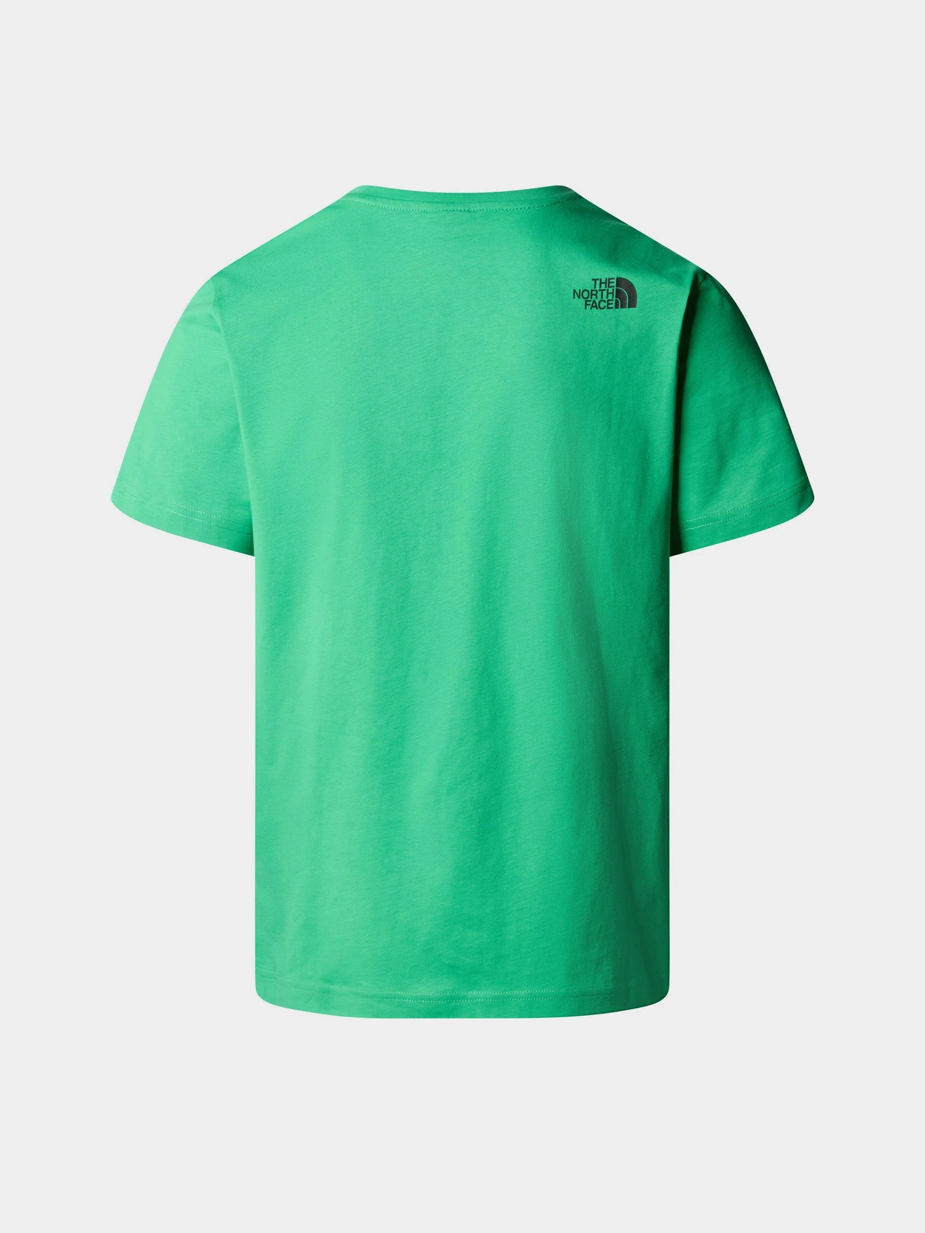 Футболки і поло The North Face M S/S Fine Tee модель NF0A87NDPO81 Футболки і поло The North Face M S/S Fine Tee модель NF0A87NDPO81 Фото